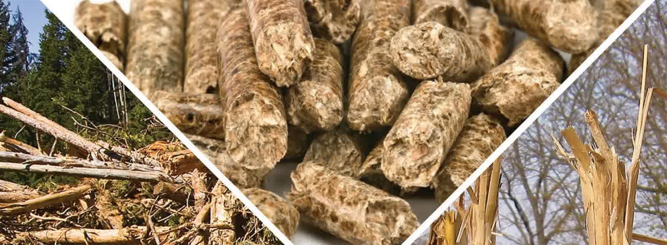 sản xuất viên nén gỗ