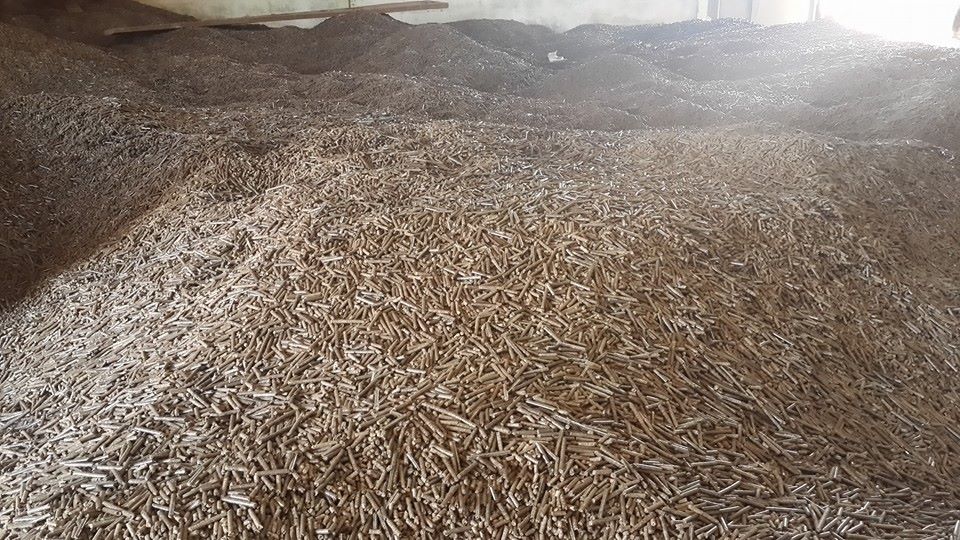 Sự khác biệt giữa viên nén gỗ và thức ăn chăn nuôi 1