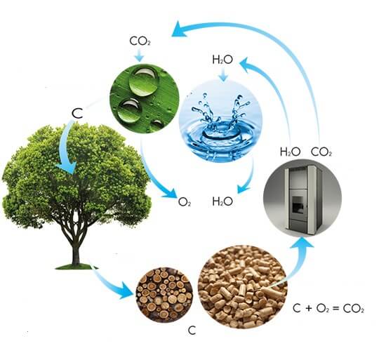 Viên nén gỗ loại bỏ hoàn toàn khí thải cacbon 1