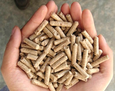 viên nén gỗ đa lợi ích 1