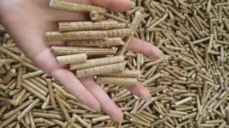 Viên nén gỗ tiêu chuẩn kỹ thuật