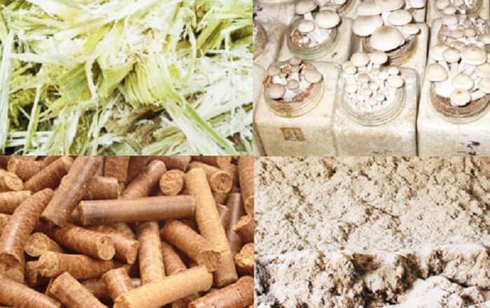 Sản xuất viên nén năng lượng
