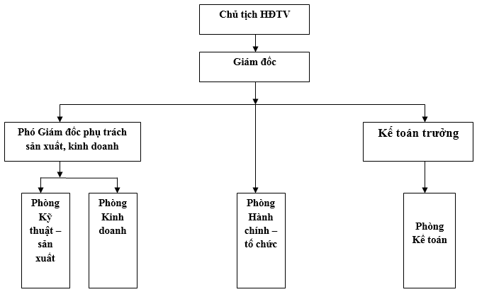 sơ đồ tổ chức