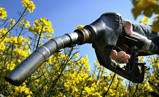 Biofuel là gì? Tìm hiểu về biofuel